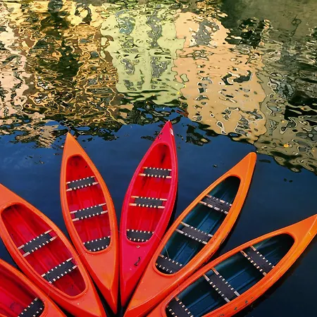 Western Premier Slon